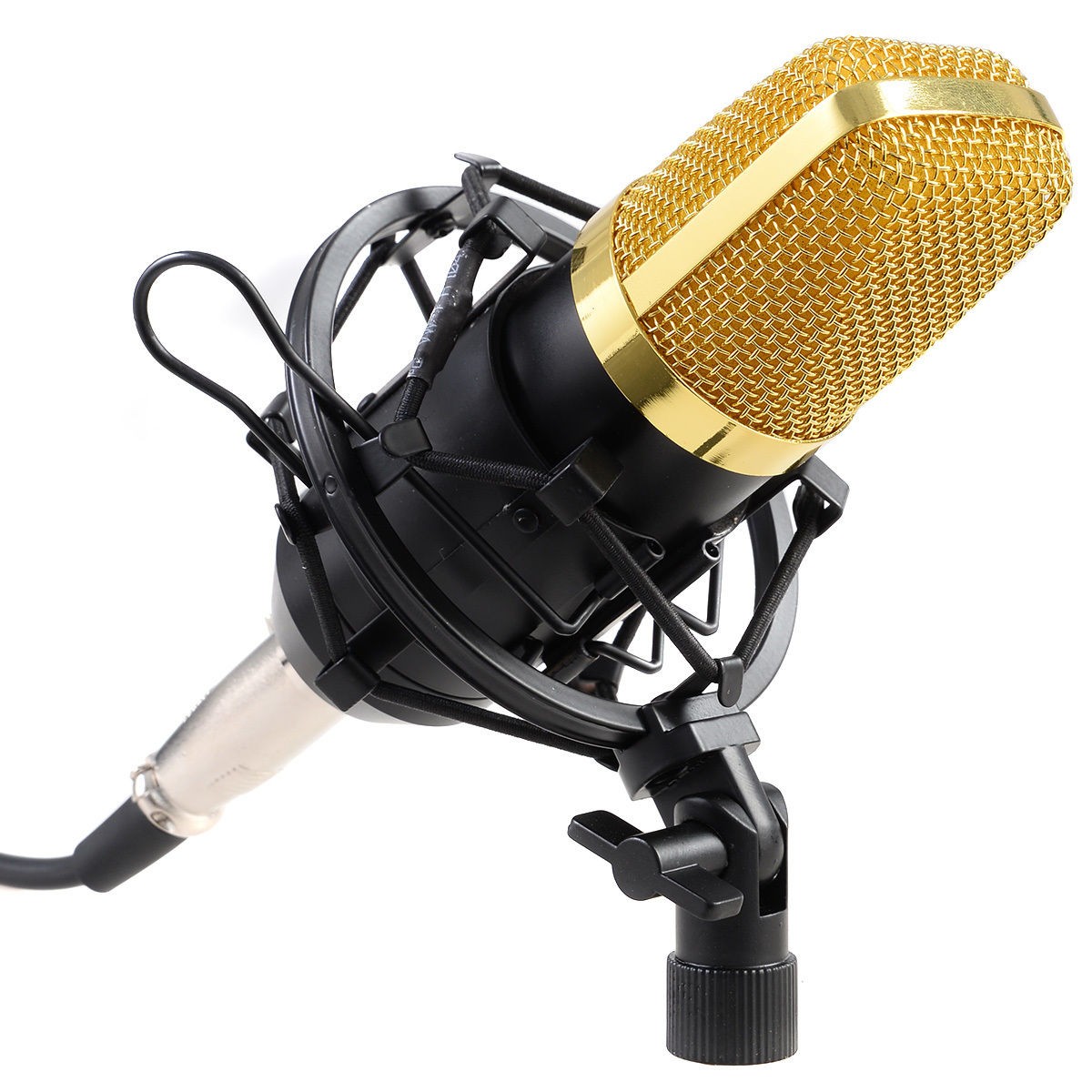 audio pro microphone